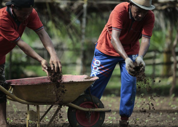 ORGANIC FARMING