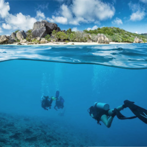 Recreational Vs. Scientific Diving: What You Need To Know