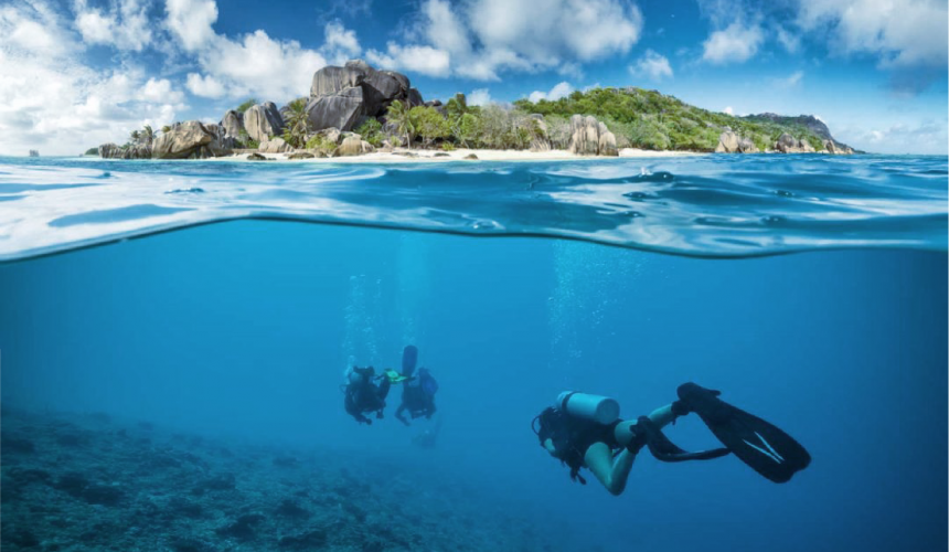 Recreational Vs. Scientific Diving: What You Need To Know