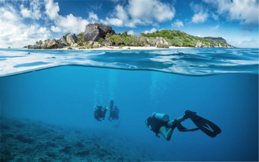 Recreational Vs. Scientific Diving: What You Need To Know