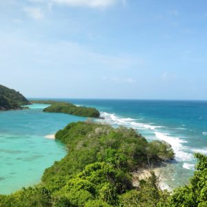 What to Know About Three Tropical Marine Ecosystems in Anambas Islands