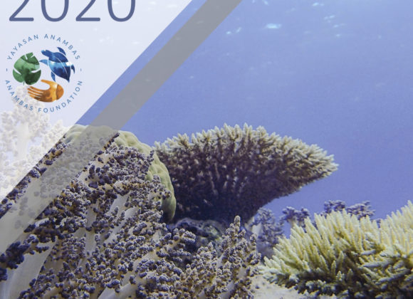 2020 Reef Health Monitoring Report