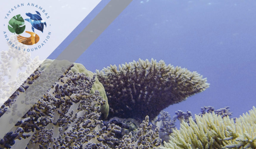 2020 Reef Health Monitoring Report