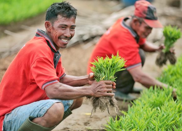 This Telaga Farmer Has Been Growing Banana Trees. But Now, He’s Diversifying His Produce with Organic Crops