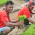 This Telaga Farmer Has Been Growing Banana Trees. But Now, He’s Diversifying His Produce with Organic Crops