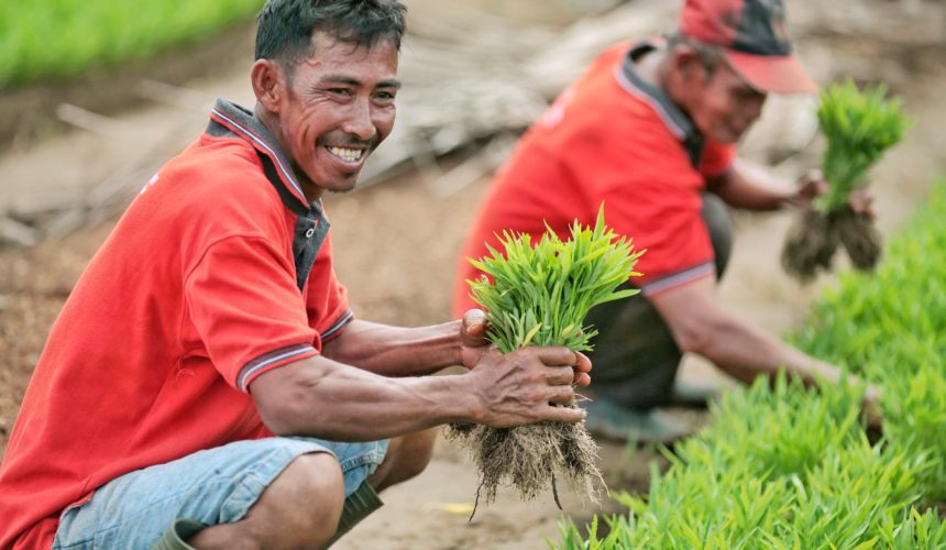 This Telaga Farmer Has Been Growing Banana Trees. But Now, He’s Diversifying His Produce with Organic Crops