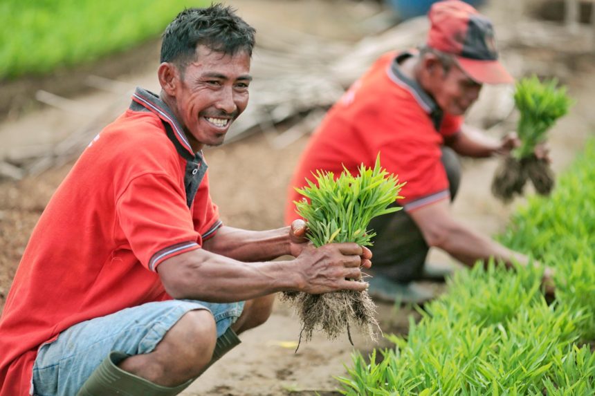 This Telaga Farmer Has Been Growing Banana Trees. But Now, He’s Diversifying His Produce with Organic Crops