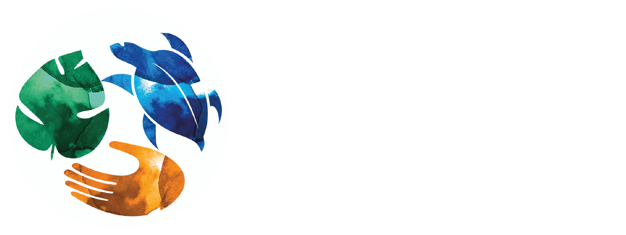 ANAMBAS FOUNDATION