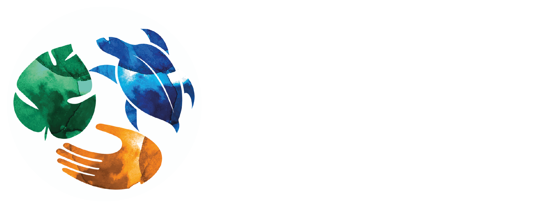 ANAMBAS FOUNDATION