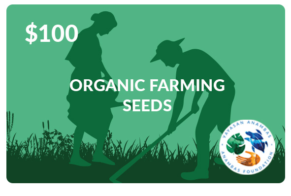 organic-farming-seeds-donate-card.1.3