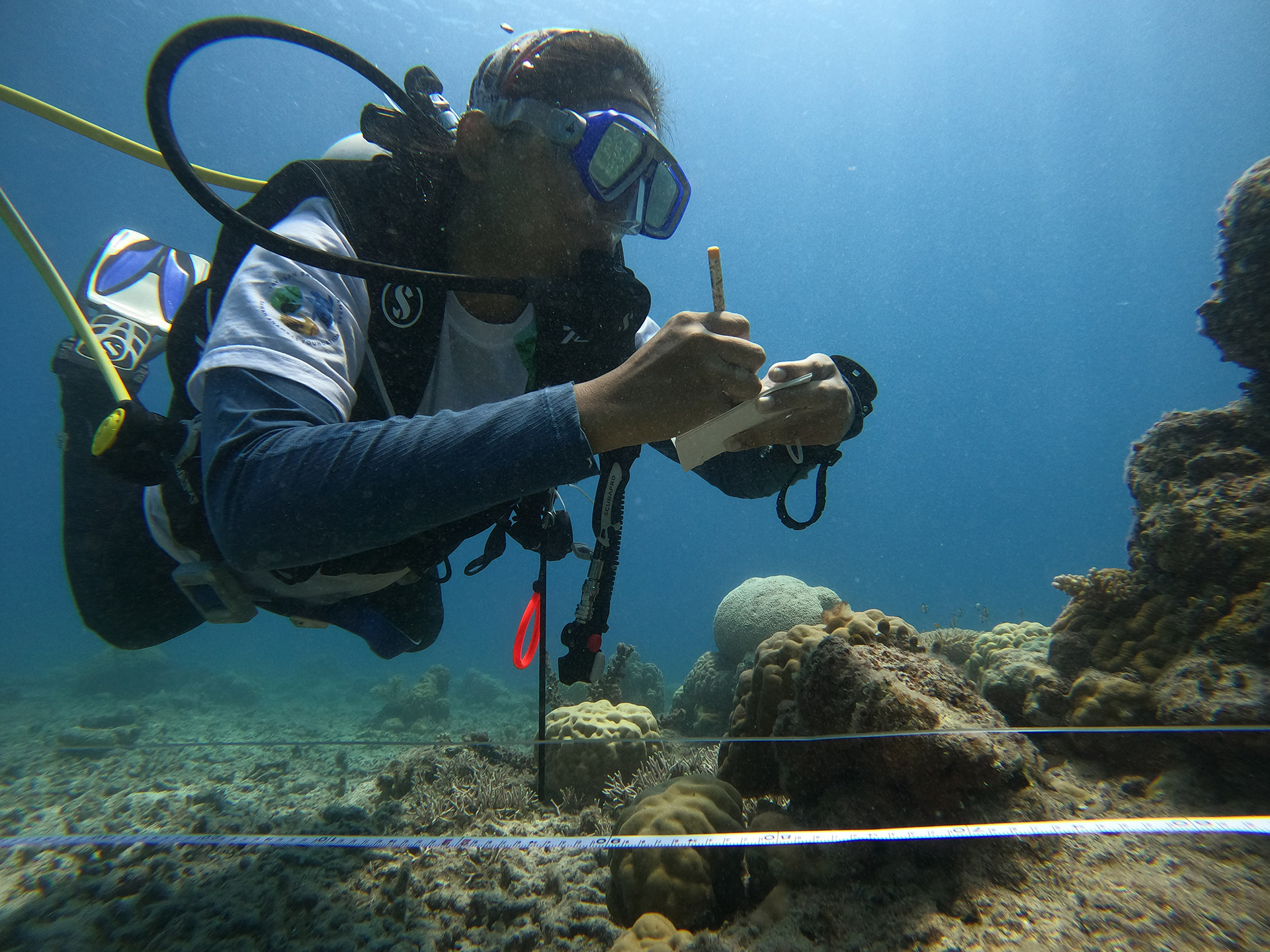 REEF HEALTH
MONITORING